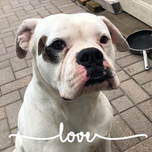 Meet your Posher, Marco